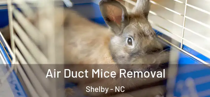 Air Duct Mice Removal Shelby - NC