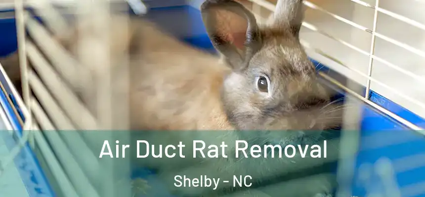  Air Duct Rat Removal Shelby - NC