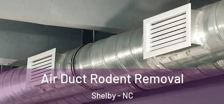  Air Duct Rodent Removal Shelby - NC