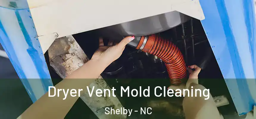  Dryer Vent Mold Cleaning Shelby - NC