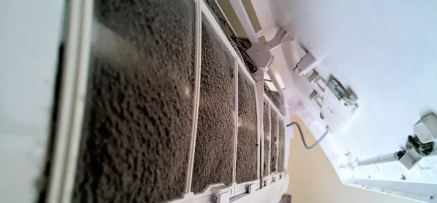 Preventive Air Duct Bacteria Removal in Shelby