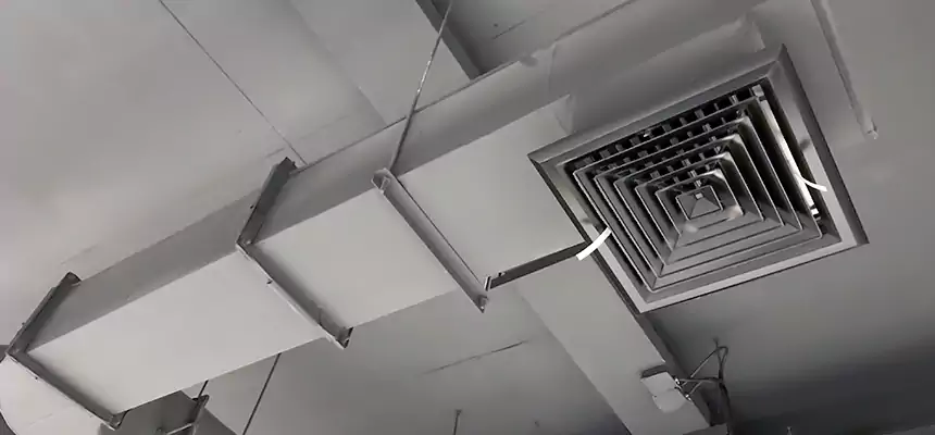 Our Pest Removal From Ducts Services in Shelby, NC