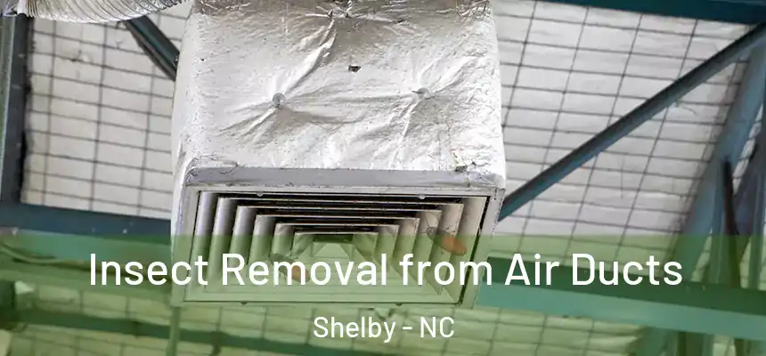  Insect Removal from Air Ducts Shelby - NC