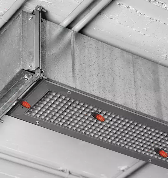 About Air Duct Cockroach Removal in Shelby, NC