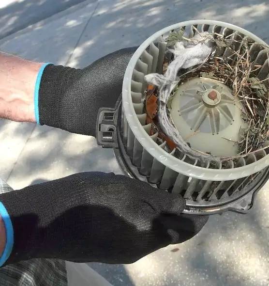 About Air Duct Mice Removal in Shelby, NC