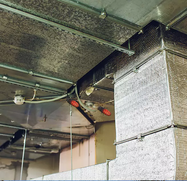 Why Homeowners & Businesses Trust Us in Shelby, NC?