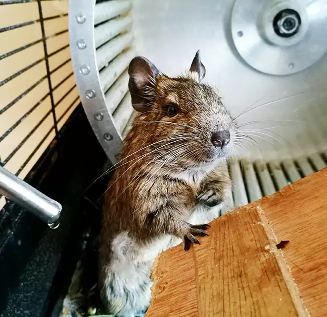 Why Homeowners & Businesses Trust Us Shelby, NC