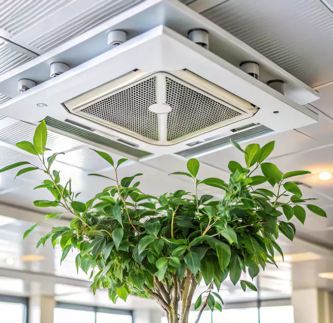 Why Homeowners & Businesses Trust Us in Shelby, NC